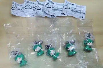 시쿠포니 스치 메지루시 액세서리