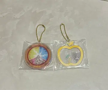 미세스 제일복권 후지사와 료카 E상 아크릴 참 2개 세트