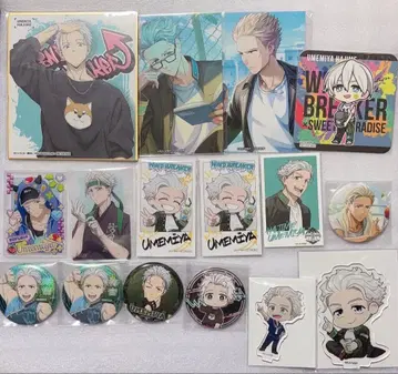 WIND BREAKER 윈브레 우메미야