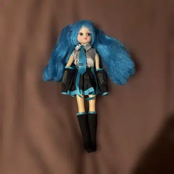 하츠네 미쿠 리카짱 신발 제외