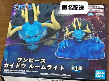 원피스 카이도 룸 라이트