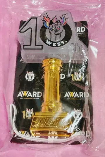 WEST. AWARD 응원봉