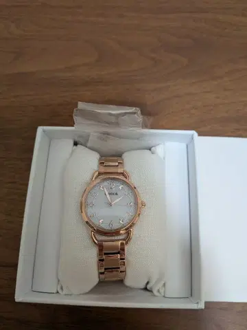 Wicca 로즈 골드 시계