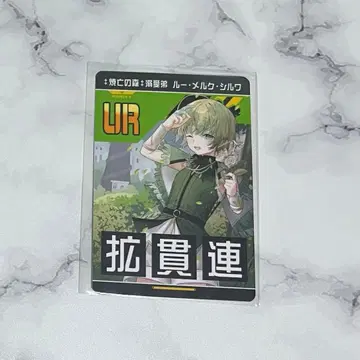 소실의 숲 애지중지 남동생 루멜크 실바 1장