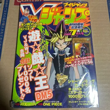 V점프 2001년 7월호 하피 레이디 SB 부록