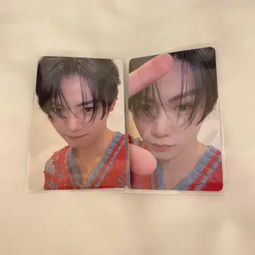 WILDBLUE 호리데이 포토 카드 스즈히나타