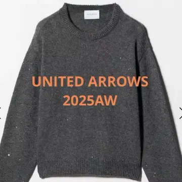 2025AW 유나이티드 애로우즈 니트 플라워 스팽글 크루넥