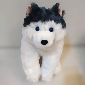축 늘어지는 복슬복슬 시베리안 허스키 JB 주노 봉제 인형 강아지