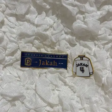 ENHYPEN DARKMOON 핀 배지 정원 자카