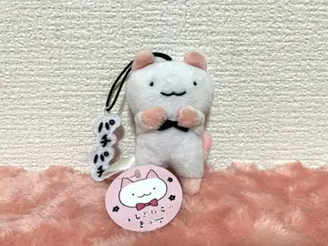 [택 포함] 신비한 고양이 큐짱 봉제 인형 마스코트 레어