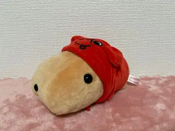 [즉시 구매 OK] 카피바라 치바군 봉제 인형 마스코트