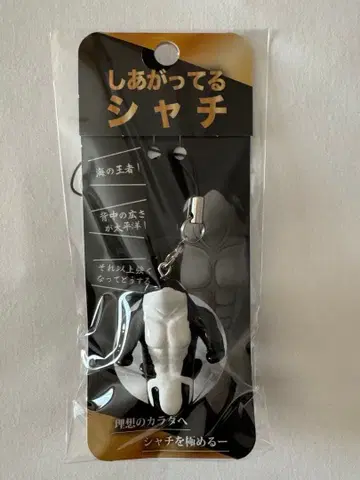 완성된 범고래 키링 스트랩