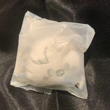 straykids 스키즈 페이스 키링 실버 포가리 필릭스