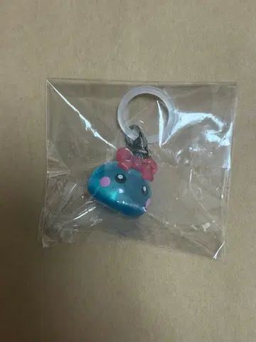 홋페짱 메지루시 액세서리