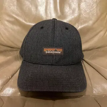patagonia 다크 그레이 스냅백 cap