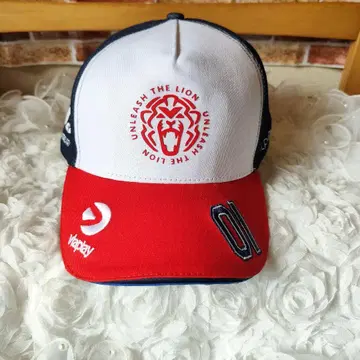 RedBull 맥스 페르스타펜 USA 캡 모자 Lion 한정판
