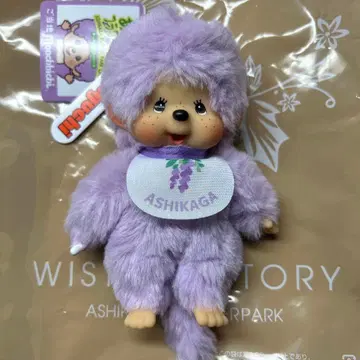 아시카가 플라워 파크 몽치치