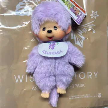 아시카가 플라워 파크 몽치치