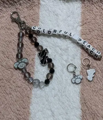 카라피치 시마무라 콜라보 2025