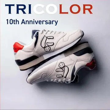 [ 미사용 새상품 ] 뉴이즈 [ 트리콜로르 ] 10주년 기념 모델