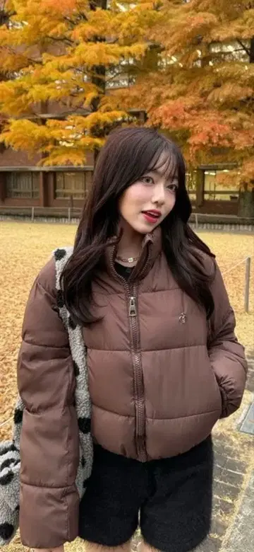 cranberry 브로치 포함 베이직 숏 다운