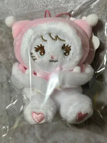 무스 치장 판초 마스코트 mikko