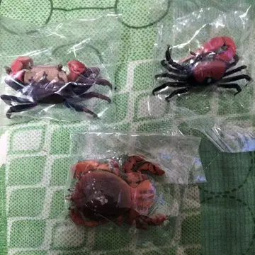 생물대도감 갑각류 피규어