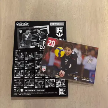 남자 배구 야마모토 토모히로 선수