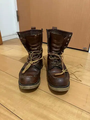 레드윙 877 아이리쉬 세터