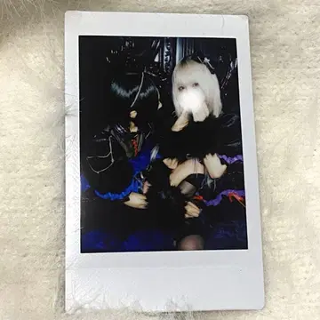 츠키미노 아야 시노노메 아오조라 AVAM 페어 란 체키