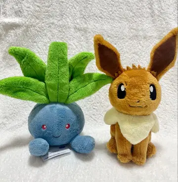 포켓몬스터 다정한 마음 봉제 인형 나조노쿠사 이브이