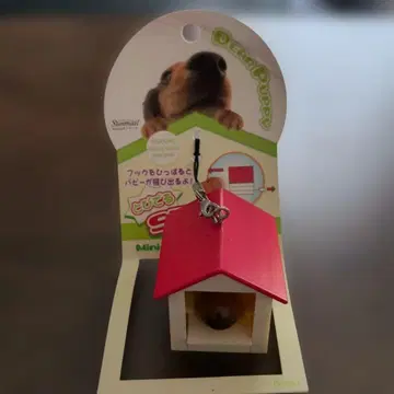 미니어처 닥스훈트 튀어나오는 스트랩