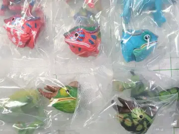 카멜레온 전 5종 생물대도감 쁘띠