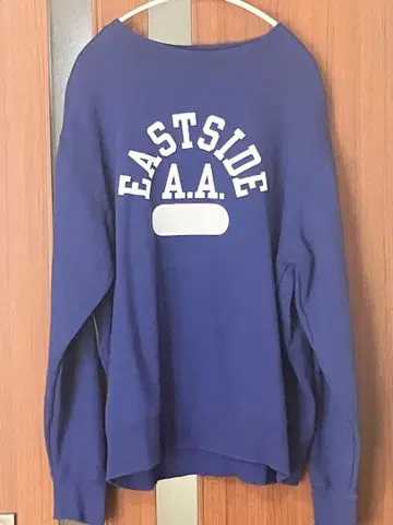 트레이닝복 남성용 챔피온 Champion M 사이즈 파랑