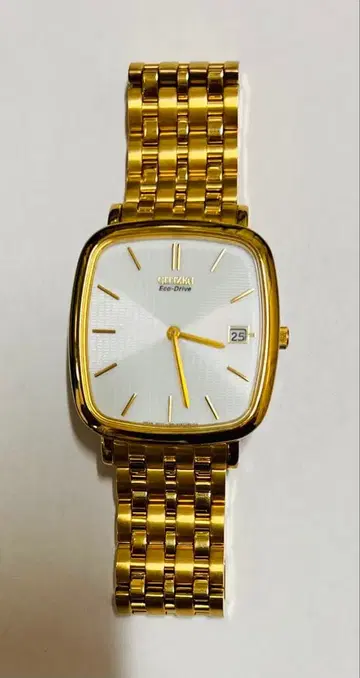 시티즌/Eco-Drive/손목시계/골드/남성용