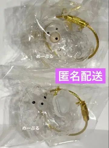 우리 아이 털뭉치 [푸들] [포메라니안]