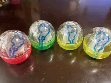 시가 레이크스 비와코 키링 컴프 증정 포함