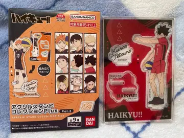 하이큐 아크릴 스탠드 컬렉션 Plus Vol.2 쿠로오 테츠로