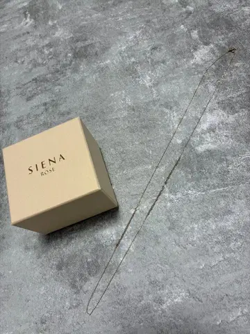 SIENA ROSE 골드 목걸이 k10