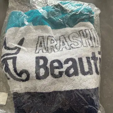 아라시 Beautiful World Tour 후드 부착 타월