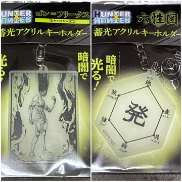 HUNTERxHUNTER 축광 아크릴 키링 곤 육성도 세트