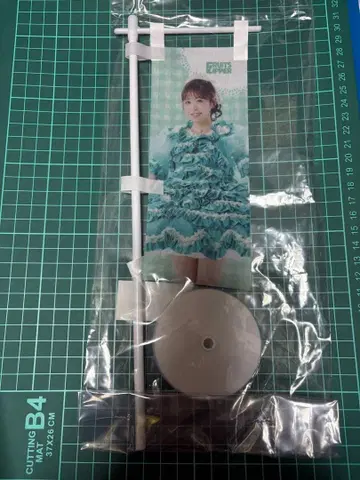 FRUITS ZIPPER 3주년 행운 복권 사쿠라이 유이 씨의 미니 깃발