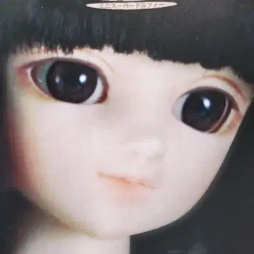 새상품 미사용 MSD 사쿠라 디폴트 아이 16mm SD-Brown