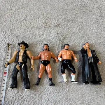레어: 프로레슬링 피규어 4체 세트