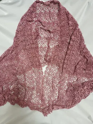 화려한 일본 의류, 양장, DRESSY한 전체 레이스, 차분한 핑크 스톨