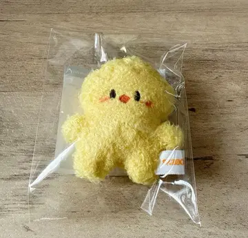 [ 새상품 미개봉 ] SKZOO 포가리 BbokAri 마이크로 키링