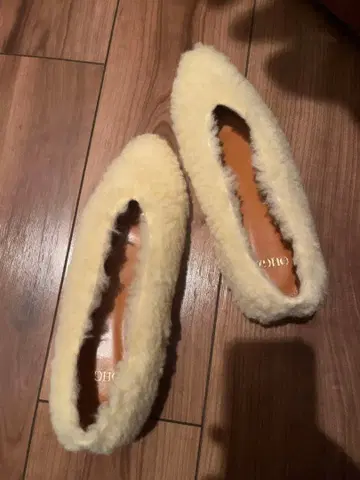 OHGA 보아 펌프스