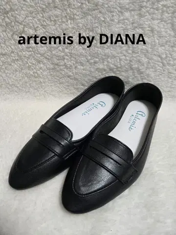 새상품급 DIANA 우천 겸용 코인 로퍼 워셔블 슈즈 23cm