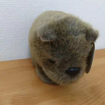 웜뱃 봉제 인형