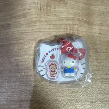 산리오 캐릭터즈 패키지 참 & 초코볼 헬로키티